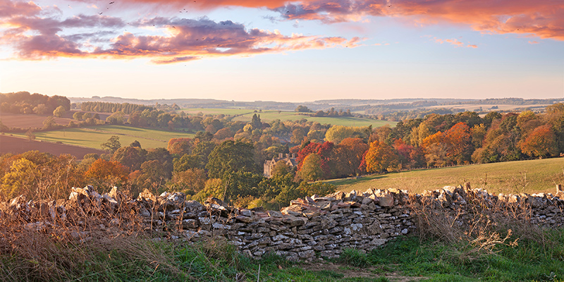 A rolling hillside with a stone wall in the foreground. 