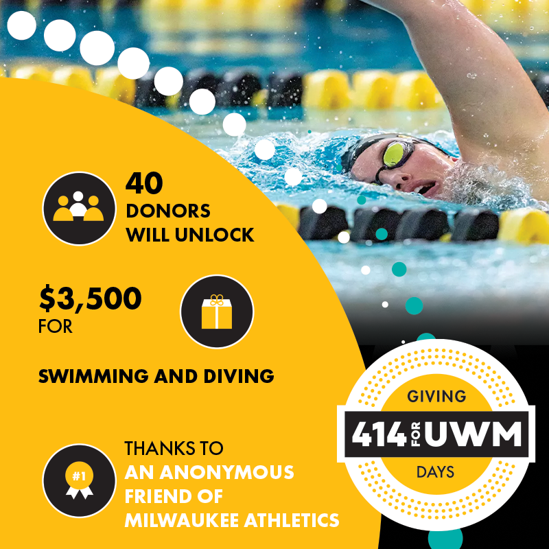 Swimming and Diving Challenge graphic