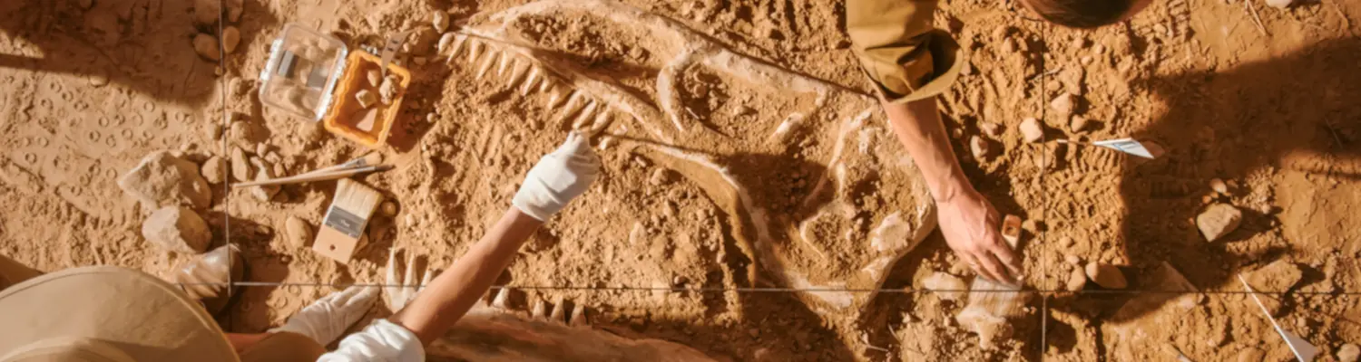 archeological dig site