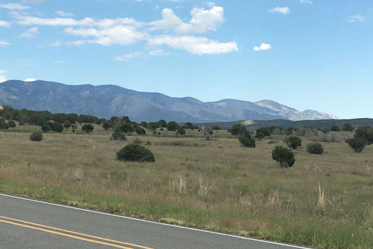 Rural highway alongside a scrubby grassland with mountain range in the background under blue skies