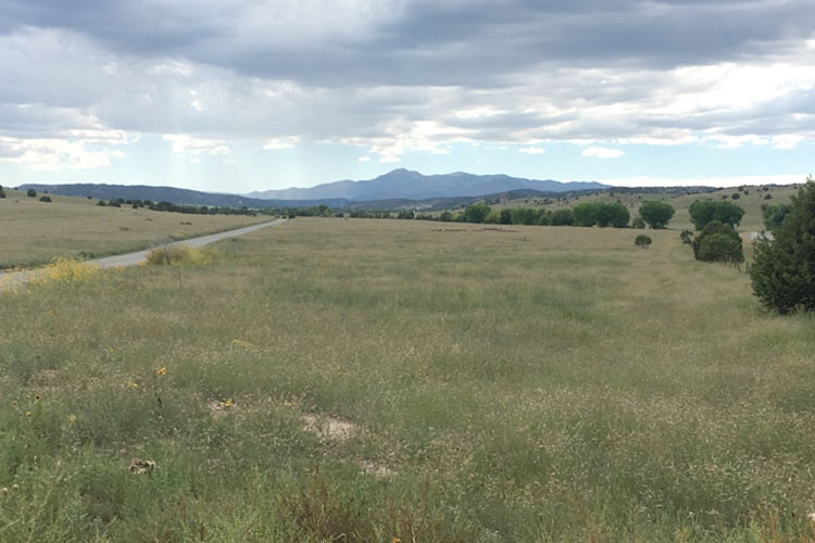 Open grassy meadow with a winding road and distant mountains under dramatic cloudy skies