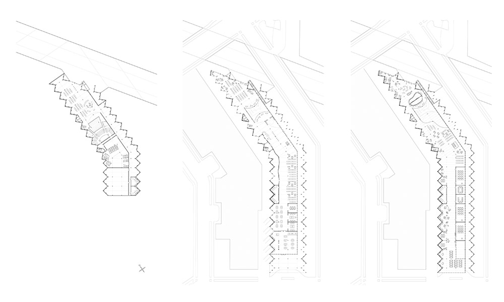 A project by Jennie Crandall and Olivia Crocker