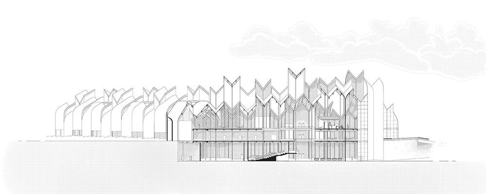 A project by Jennie Crandall and Olivia Crocker