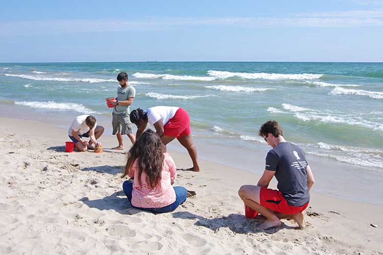Architecture students build sand castles at the beach as part of their educational and social gatherings.