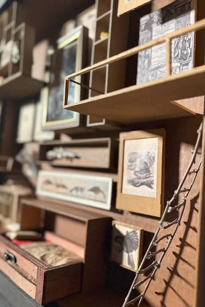 Close-up of a wall-mounted wooden display with small shelves and drawers holding framed vintage illustrations, books, and found objects, lit warmly.