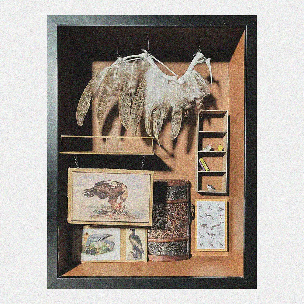 Boxed assemblage with a suspended bird-like sculpture, framed bird illustrations, books, and small shelves arranged inside a shadowed display case.