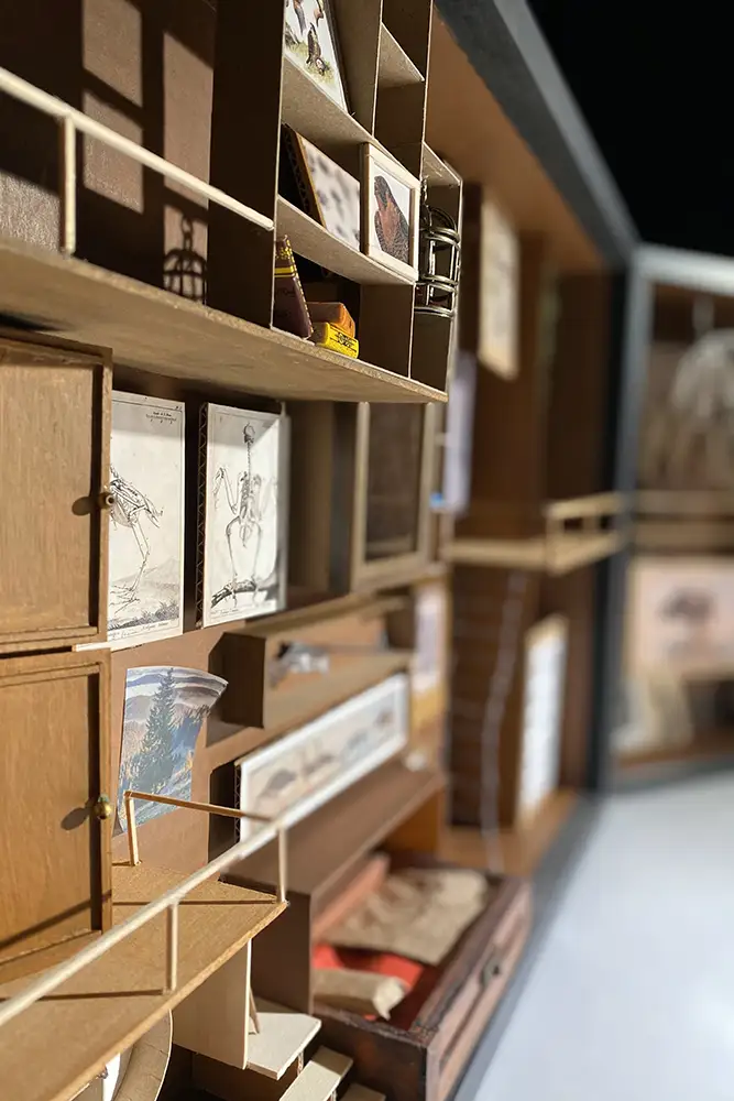 Angled close-up of a wooden assemblage display with small shelves holding illustrations, books, drawers, and ladders, viewed through shallow depth of field.
