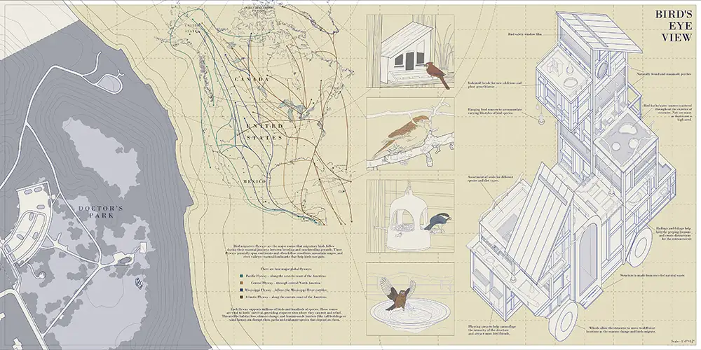 Illustrated site analysis board combining a lakeside map, bird migration diagrams, habitat sketches, and an axonometric bird‑watching structure labeled “Bird’s Eye View.”