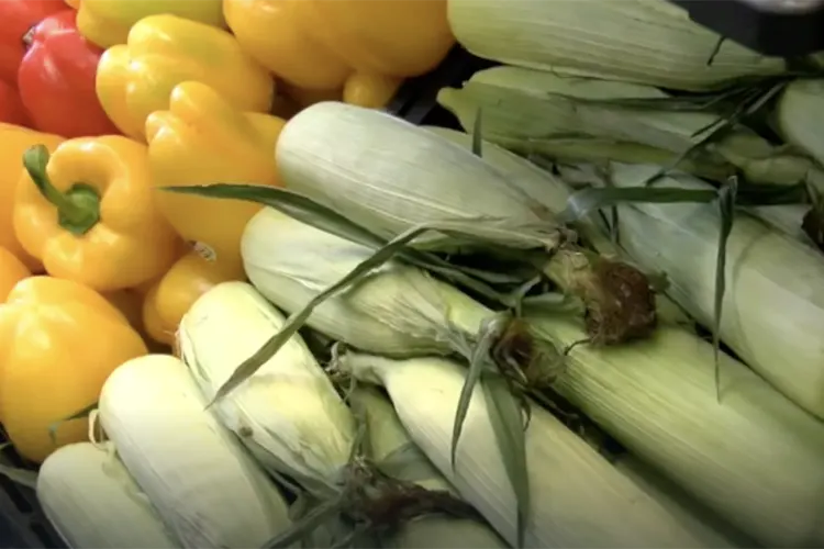 Vegetables on display at a grocery story