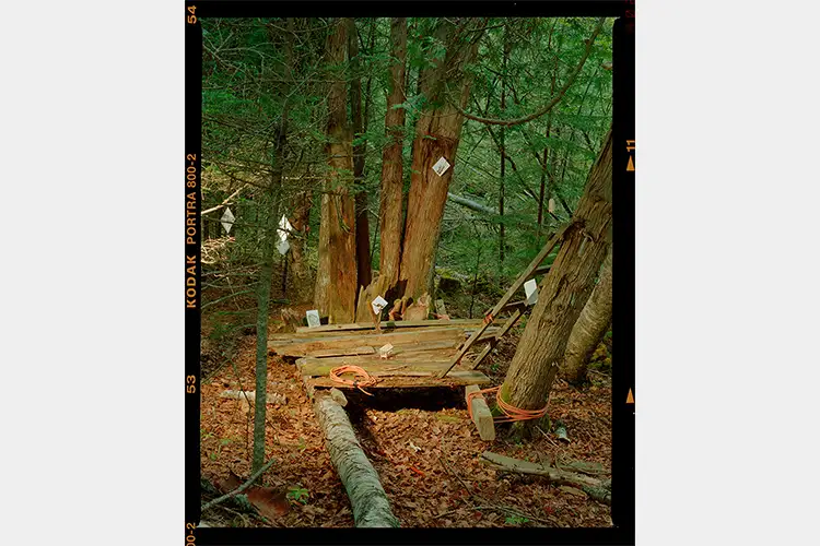 Wooden platform altar built among trees in a forest, surrounded by leaves and tagged objects.