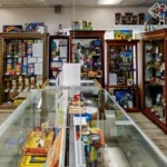 Wellington's museum. Walls are lined with wooden books shelves filled with building toys, as are glass showcases running the length of the room.