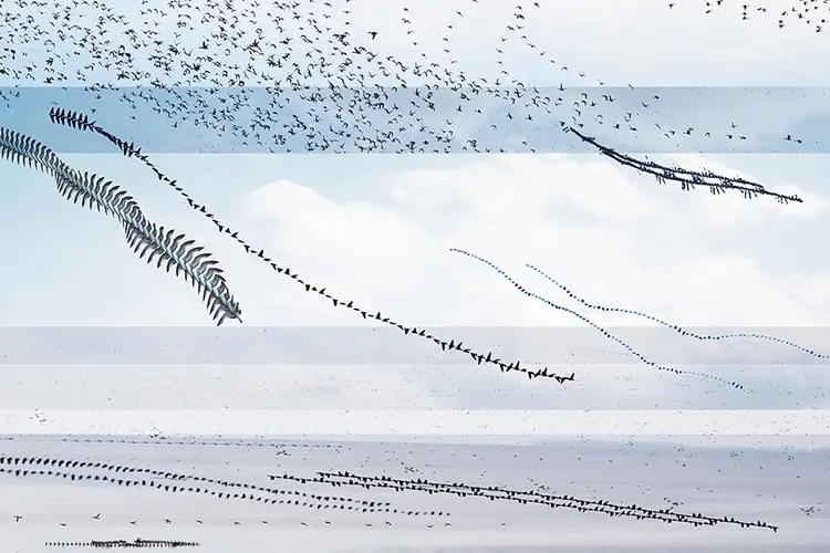 Flock of birds forms sweeping patterns across a pale sky and coastal landscape.
