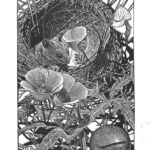 Wood engraving by Nicholas Wilson
