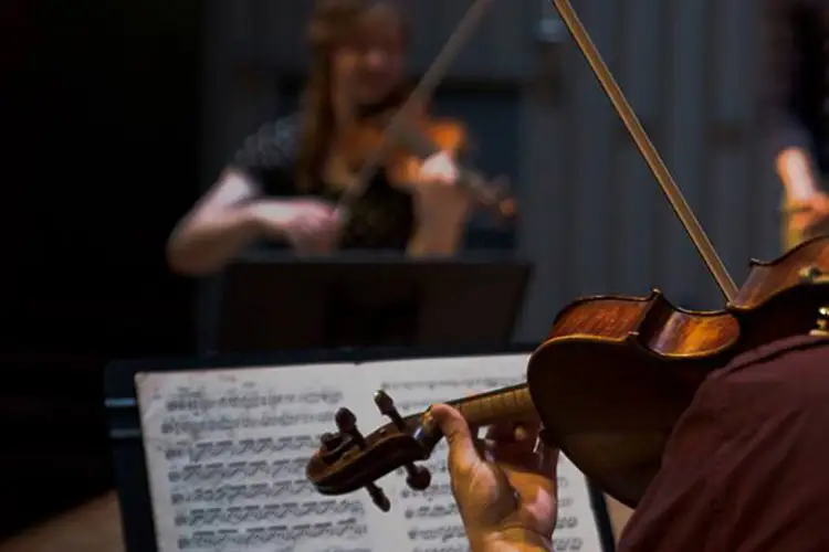 Close-up of a violinist playing with sheet music in focus and another musician performing in the background.