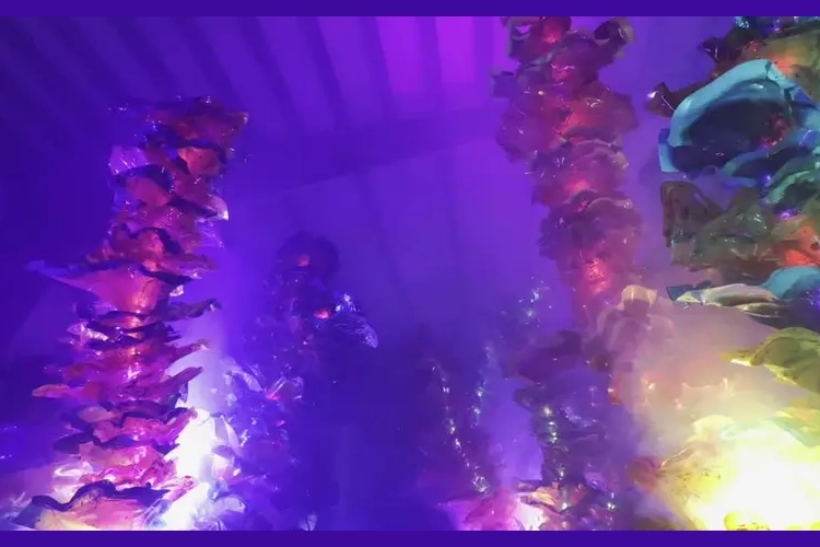 Colorful coral-like sculptures are bathed in purple light.