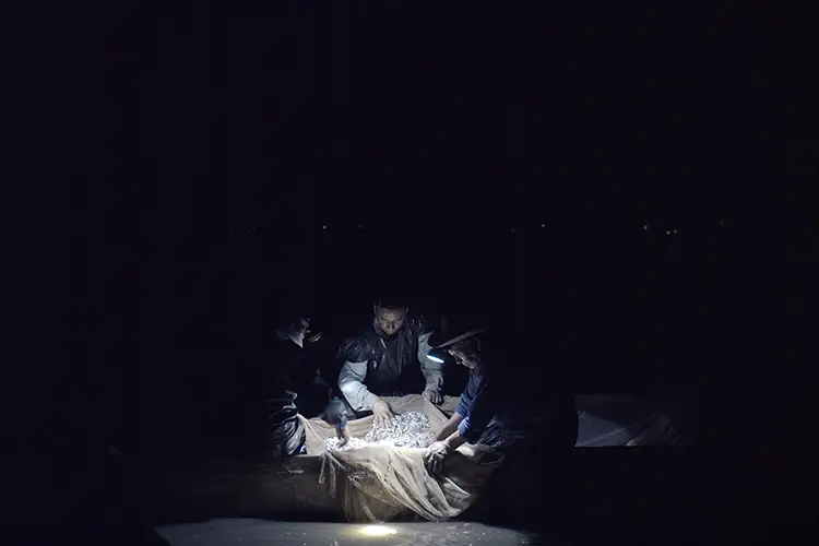 Mike Gibisser’s ‘A Common Sequence’ Shines in 2023 Sundance Film Festival