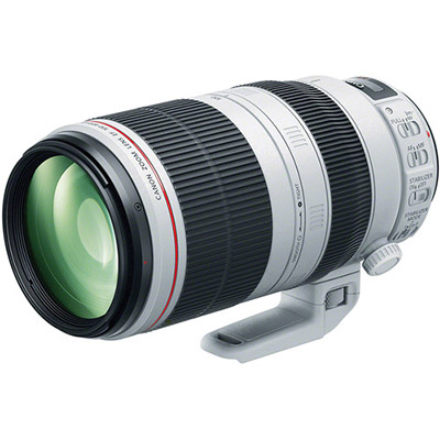 Canon Tele-Zoom Lens