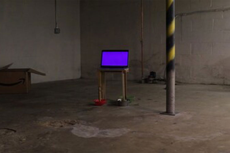 E-Flux Film Highlights the Creative Vision of FVANG’s Department Chair