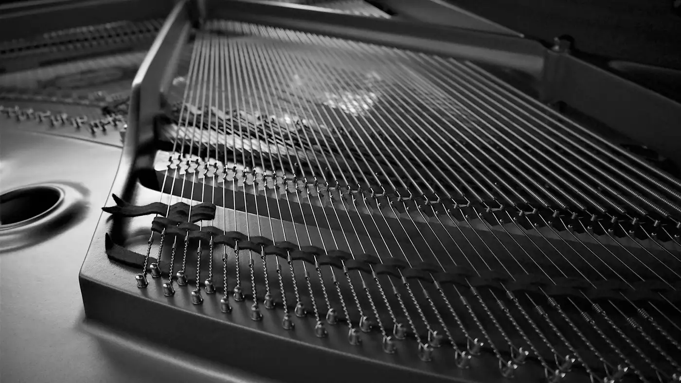 Close-up view of piano strings and internal frame in black and white.