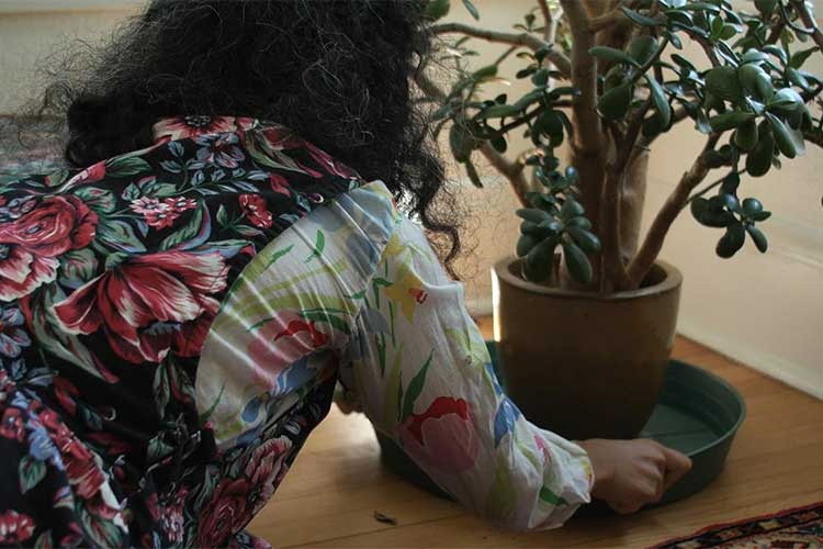 Filmmaker Nazli Dinçel tending to her houseplants in Jesse McLean’s “Light Needs.”