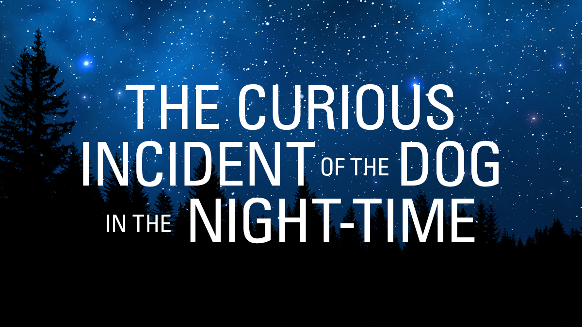 UWM Theatre: The Curious Case of the Dog in the Night-Time Promo Image