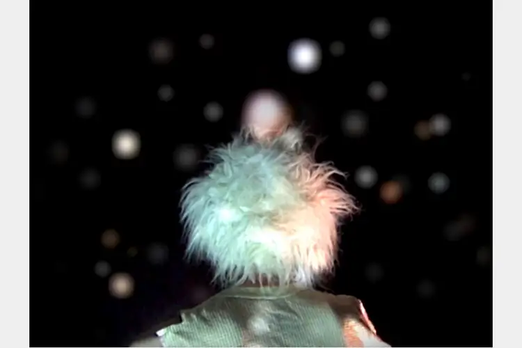 Still of the back of a person's head with fluffy, wild white hair