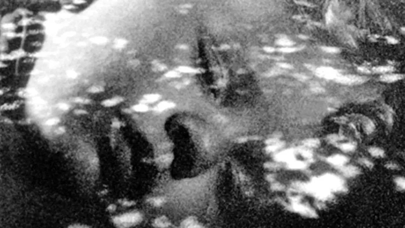 Details For Event 36287 – Experimental Tuesdays: Weather, or Not