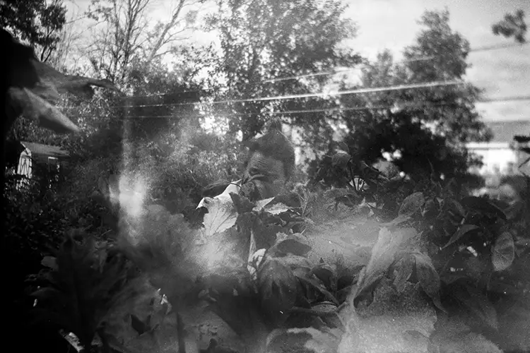 Black and white image of a woman partially obscured by her garden's plants
