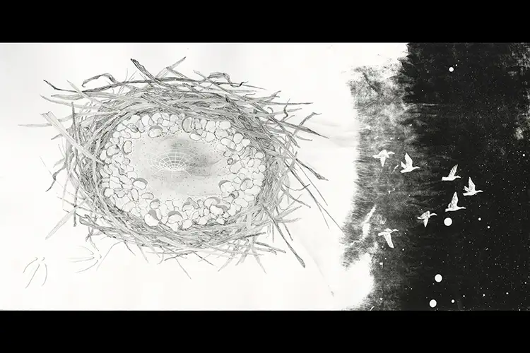 Black and white goose nest with some goose prints in the snow and a flock of migrating geese flying through space