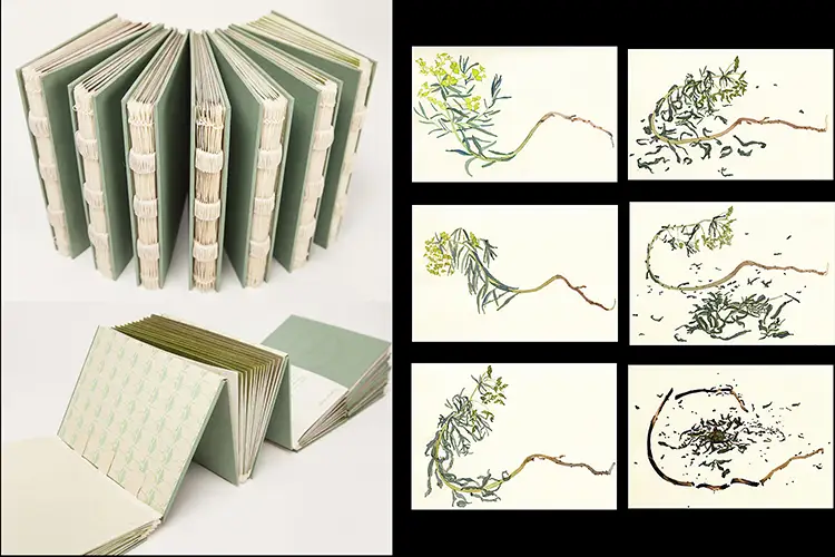 On the right, six watercolor images of a branch decaying over time. Image on the left is of the book the water colors are in stood up on its side.