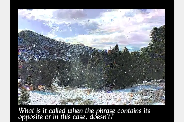 Distorted image of a snowy landscape with trees and mountains surrounded by a black boarder, bottom text reads "What is it called when the phrase contains its opposite or in this case, doesn't?"