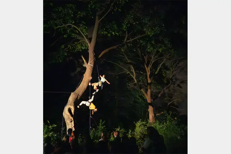 Performers suspended by ropes from a leaning tree at night, bodies angled mid-air above a crowd, dramatically lit against dark foliage. Performers suspended by ropes from a leaning tree at night, bodies angled mid-air above a crowd, dramatically lit against dark foliage.