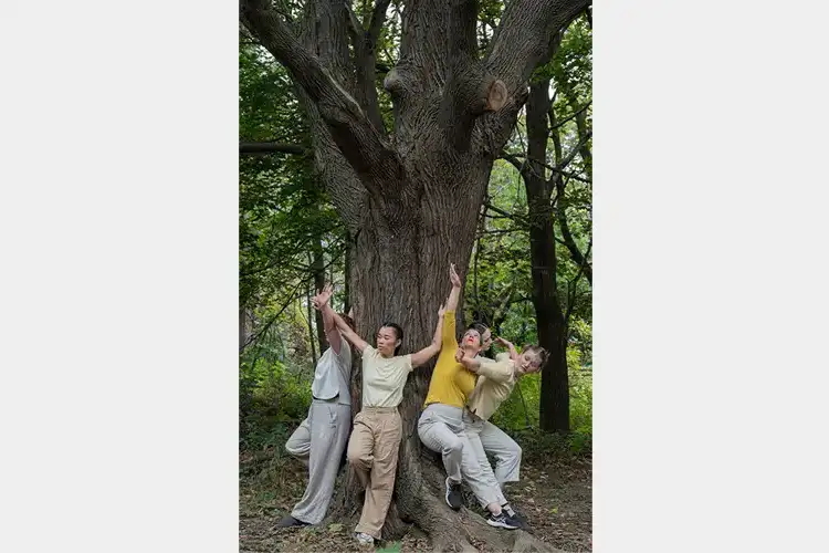 Four performers lean and pose against the trunk of a large tree in a wooded area, wearing neutral-toned clothing amid green foliage. Four performers lean and pose against the trunk of a large tree in a wooded area, wearing neutral-toned clothing amid green foliage.