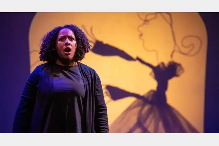 Performer stands on stage before a lit backdrop showing a shadow figure in motion and a profile outline, with purple and yellow stage lighting. Performer stands on stage before a lit backdrop showing a shadow figure in motion and a profile outline, with purple and yellow stage lighting.