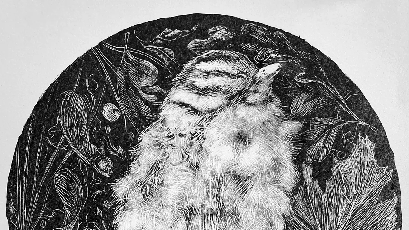Etching of a fluffed bird perched among leaves within a dark circular frame.