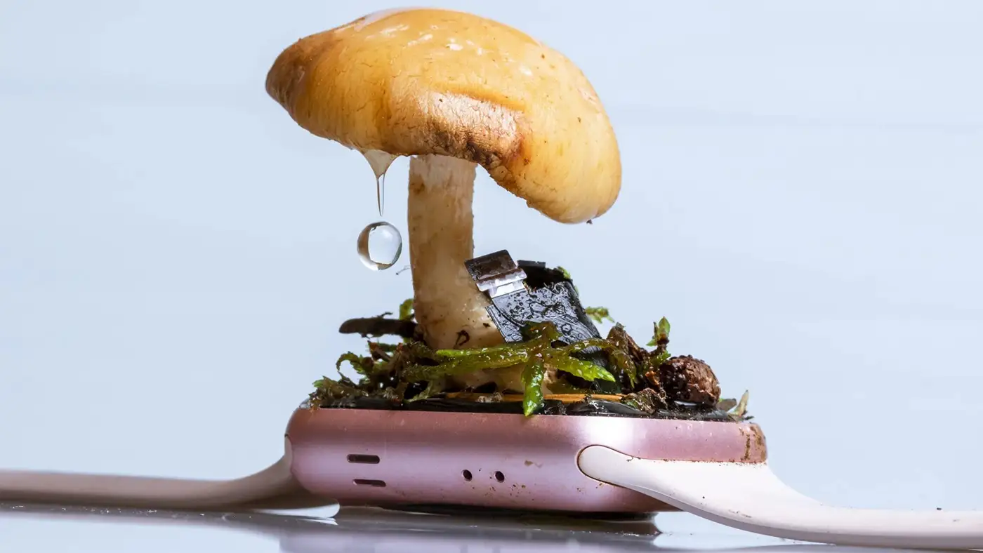 Mushroom growing from a dismantled smartwatch surrounded by moss and wires, with a suspended water droplet beneath the cap, blending natural and electronic elements.