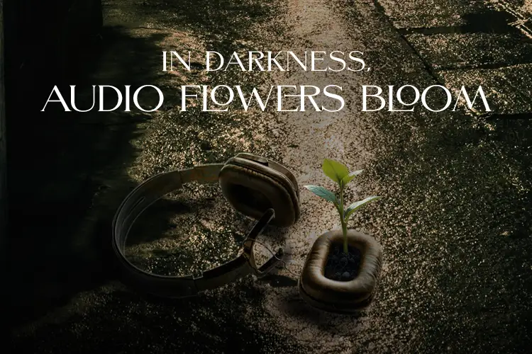 Promotional graphic for In Darkness, Audio Flowers Bloom with headphones sprouting a plant on wet pavement.