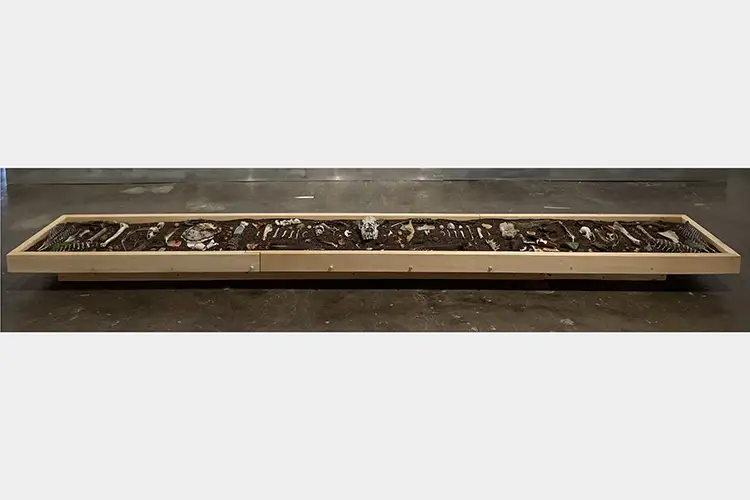 A wood tray on the floor containing dirt and bones, leaves, branches, seeds, and other various unidentifiable things A wood tray on the floor containing dirt and bones, leaves, branches, seeds, and other various unidentifiable things