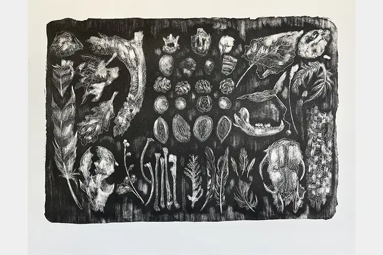Black and white image of bones, nuts, seeds and leaves on paper Black and white image of bones, nuts, seeds and leaves on paper