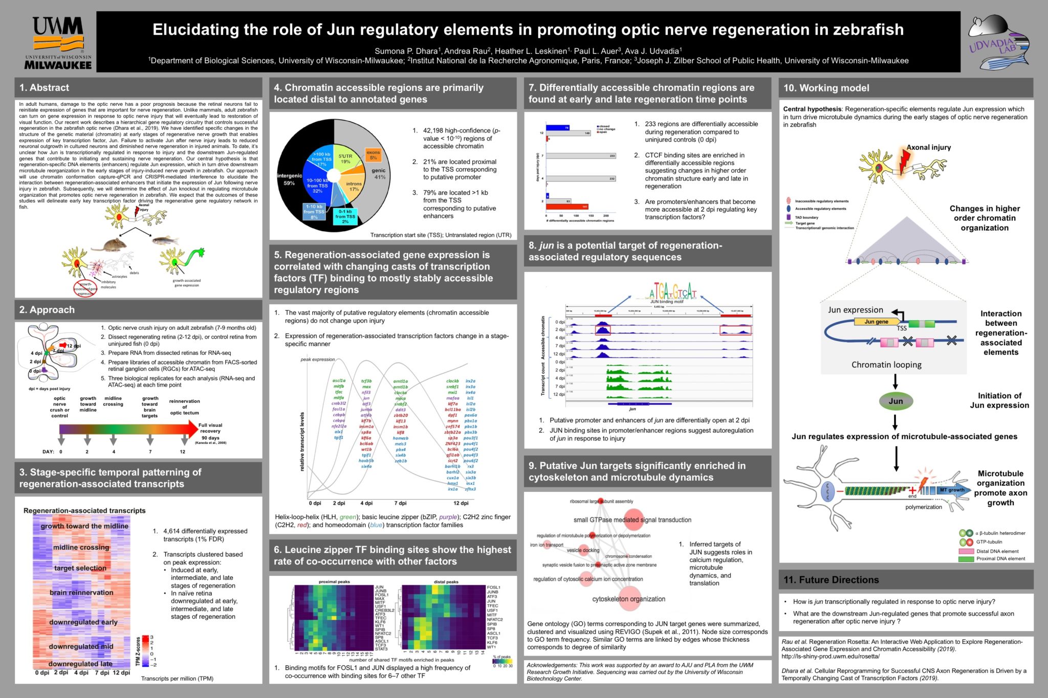 Graduate Cell and Molecular Biology Symposium Posters Biological Sciences