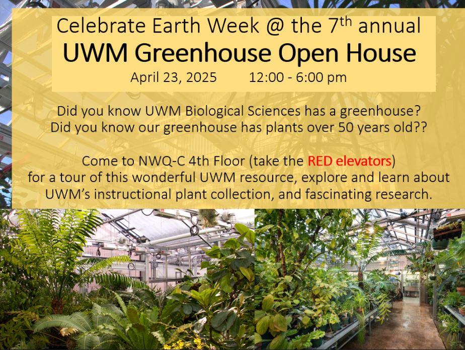 Green House Open