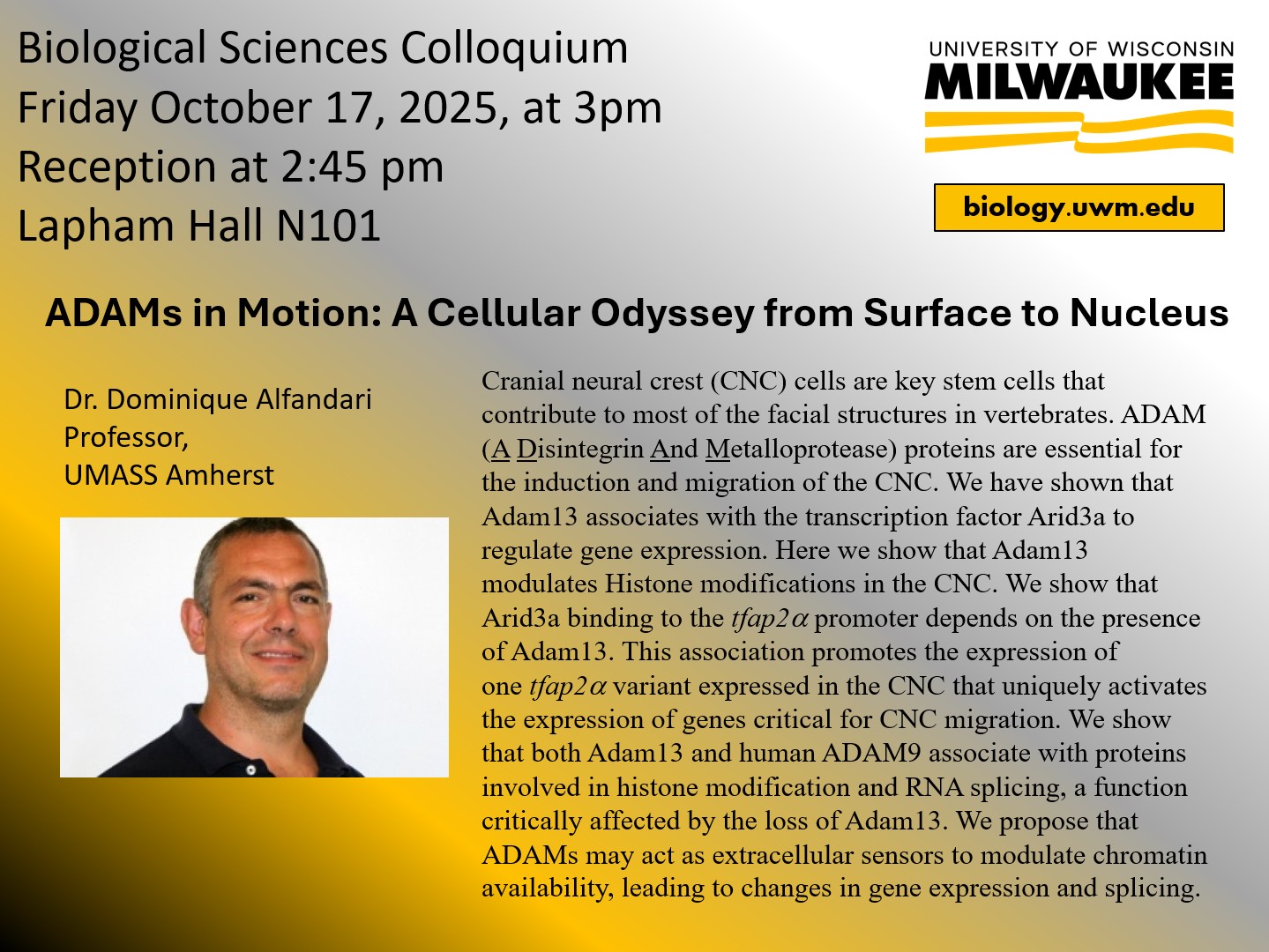 Flyer Alfandari 2025