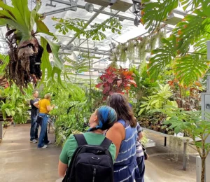 A group of people examine plants in the UWM greenhouse.