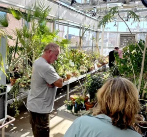 People examine plants on a table in the UWM greenhouse.