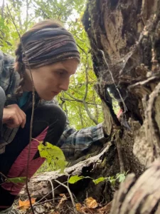 A person wearing a headband investigates a tree trunk