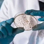 close up of hands holding a petri dish for examination