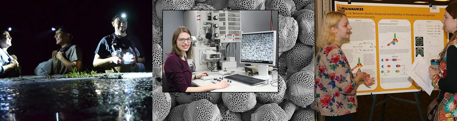montage including person in lab, researchers in water, and person giving presentation