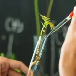 close up of hands putting something into text tube in a lab