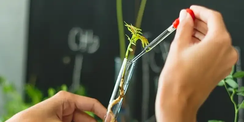 close up of hands putting something into text tube in a lab
