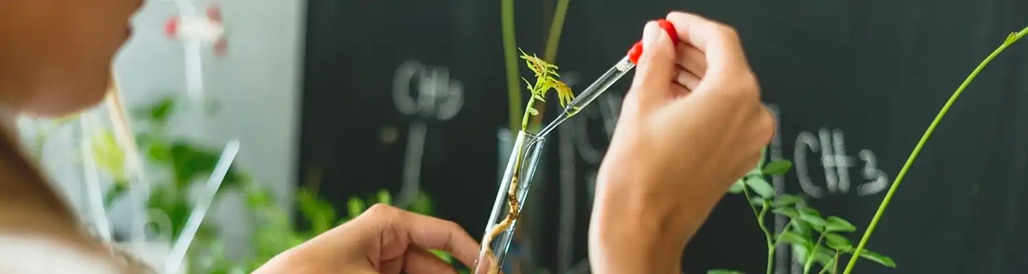 close up of hands putting something into text tube in a lab